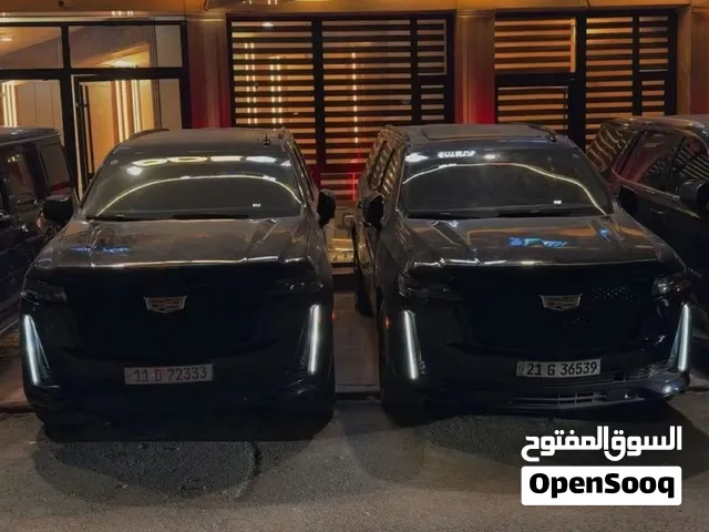 SUV Cadillac in Baghdad