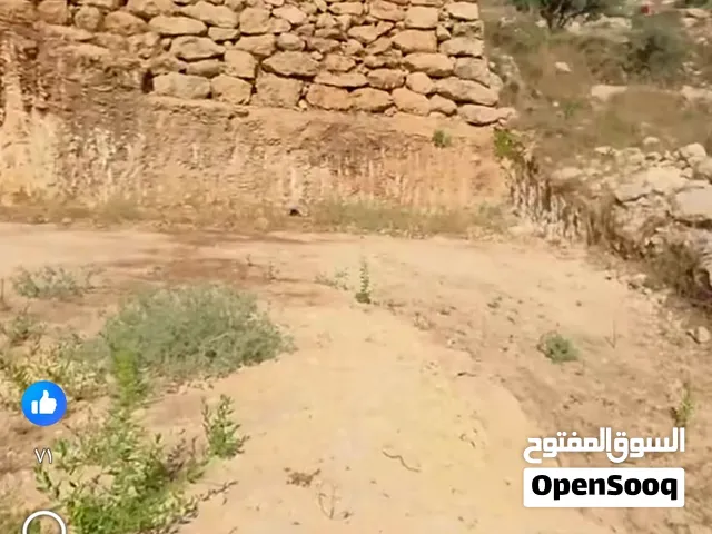 قطعة ارض استثمارية منطقة دورا كريسة   طميسرة واد النسور موقع مميز وهادء تصلح للاستثمار والزراعة والم
