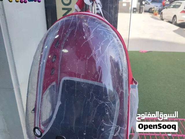 شنتة حمل قطط