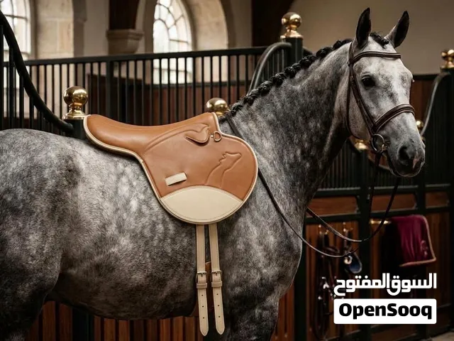 Endurance/polo saddle