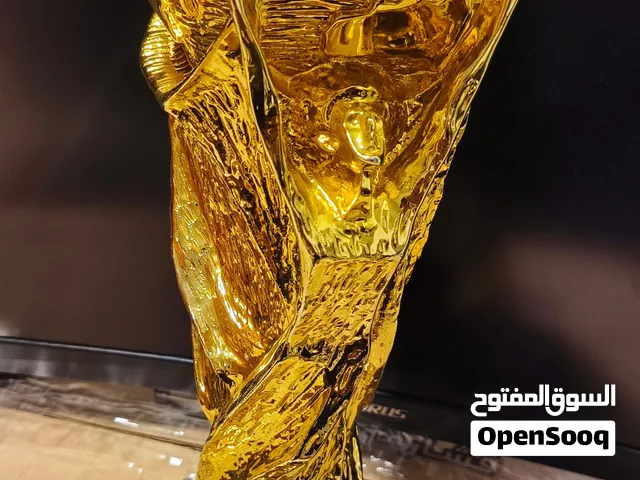 كاس العالم حجم كبير للبيع سعر بلاش