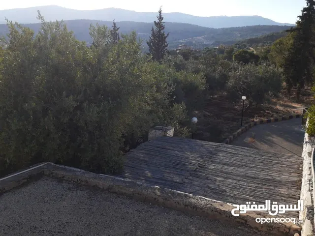مزرعة مميزة مساحتها 11.5 دونم في جرش للبيع