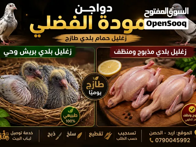 يتوفر زغليل بلدي سوبر جانبو السعر الجوز منضف جاهز 3