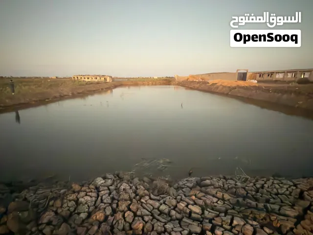ارض زراعيه ومزرعة سمك