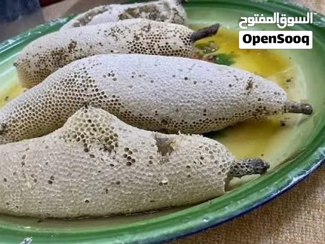 للبيع عسل سدر بري