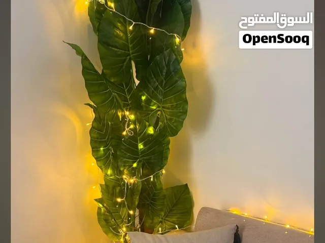 نشره اضائه