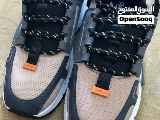 كويش Reeko