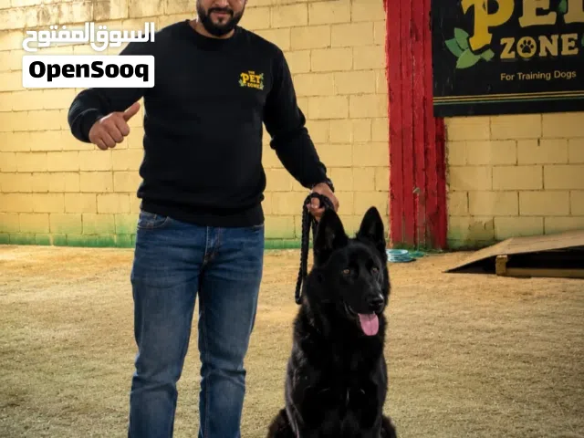 بت زون يوفر لأليفك   أكبر ساحات التدريب أكثر من 100 غرفه للإقامه الدائمه والمؤقته.