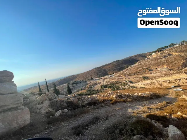 قطعة أرض مكونة من عدة نمر النمرة من 700 متر مربع إلى دونم تقريبا