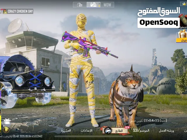 Pubg Accounts and Characters for Sale in Dammam