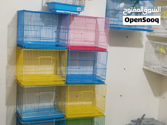 اقفاص عصافير للبيع
