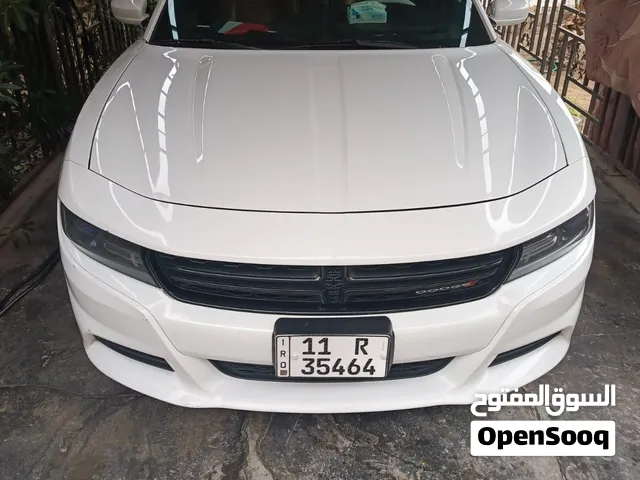 دوج جارجر لون ابيض مكفول رقم بغداد للبيع باسمي