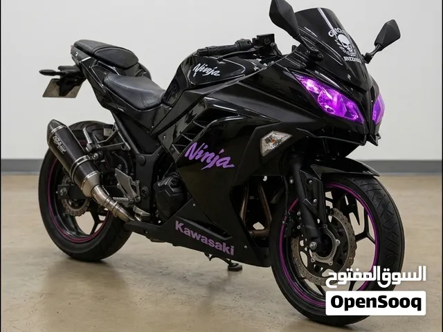 Kawasaki ninja 300 2015