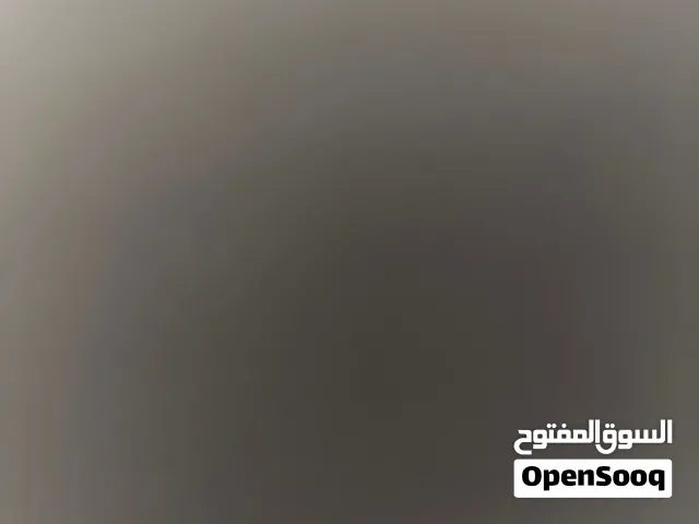 75 m2 Studio Apartments for Rent in Cairo Fifth Settlement