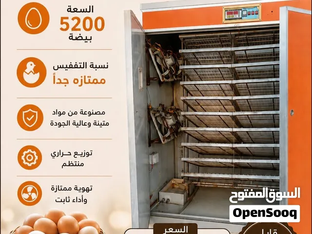 فقاسه البيض