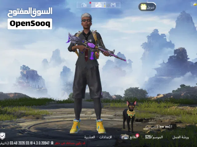حساب ببجي للبيع