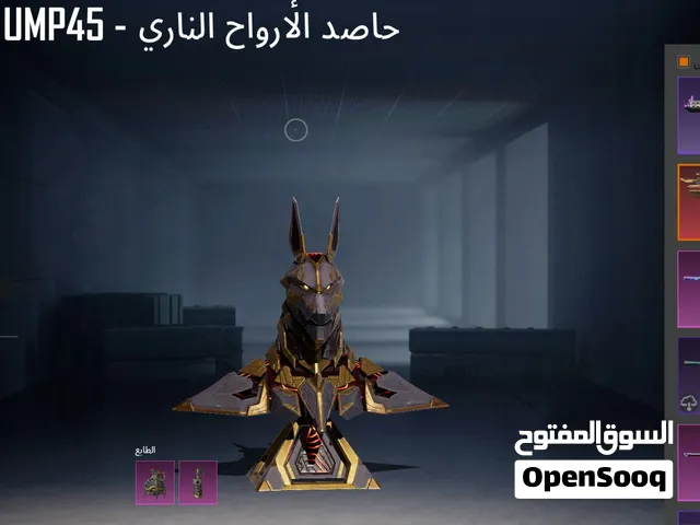 Pubg Accounts and Characters for Sale in Abu Dhabi