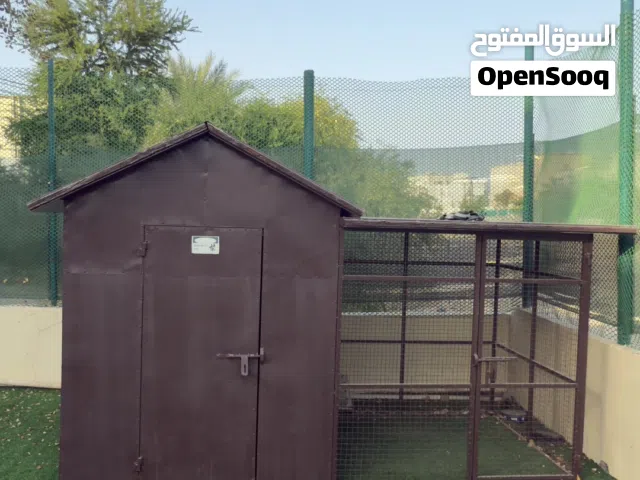 Dog House بيت للكلاب
