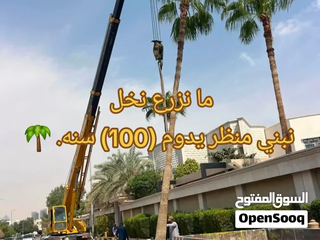 كل انواع الاشجار والنخيل النادر شعارنا المصداقيه والامانه