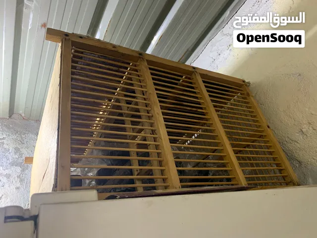 قفص صيادي بلابل
