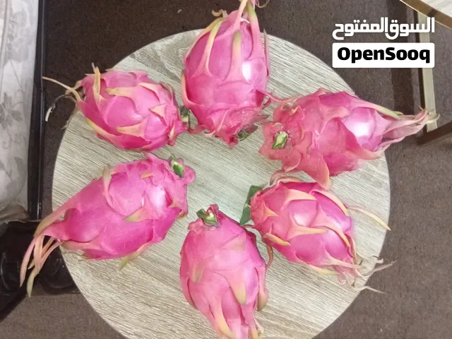 شتلة دراغن فروت (فاكهة التنين ) ابيض من الداخل تلقيح ذاتي العمر سنه ونص السع