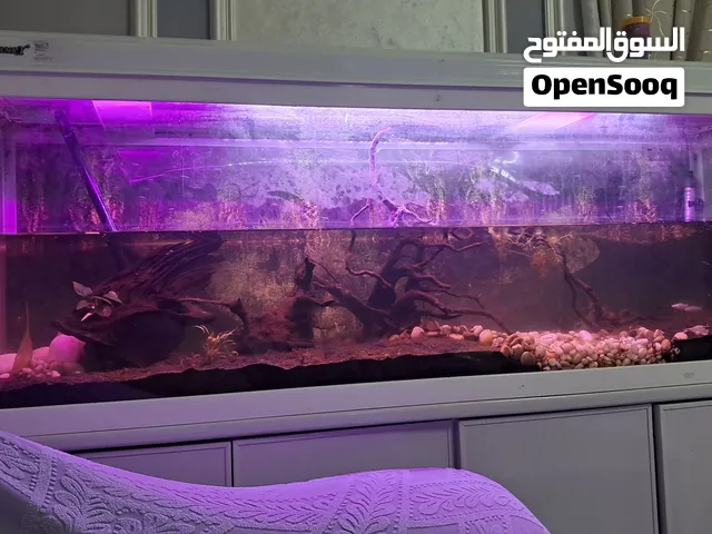 Large 150 cm Aquarium Fish Tank with Stand and Accessories