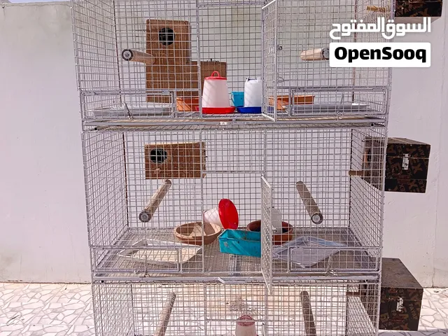 محكر ثلاث أدوار للبيع مع جميع ملحقاتة مناسب لجميع الطيور