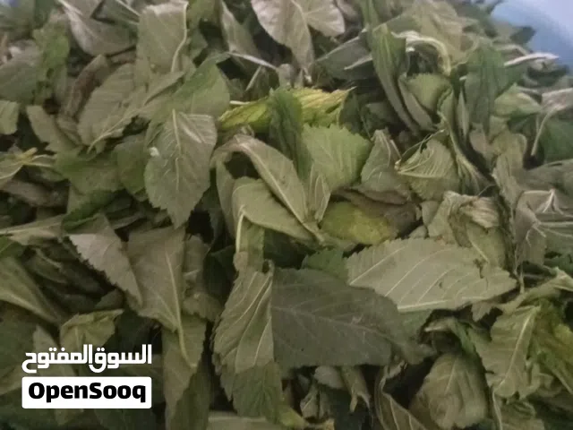 ملوخيه وورق عنب وفول وفاصوليا وسبانخ وخضار فروزن