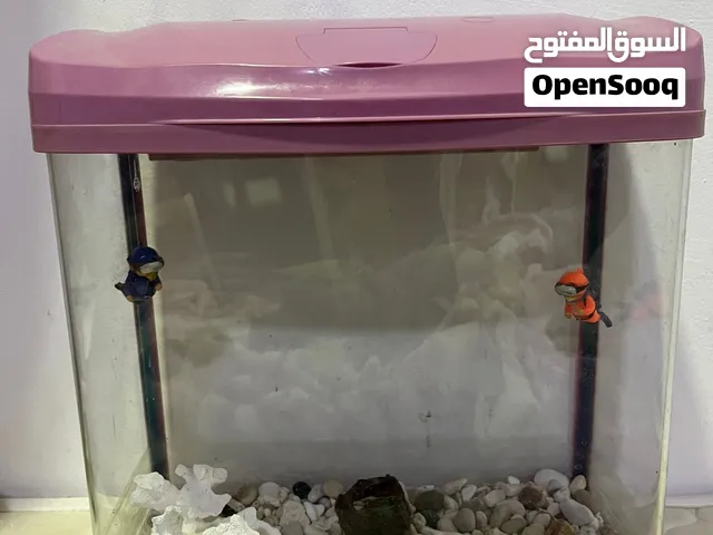 حوض اسماك زينه