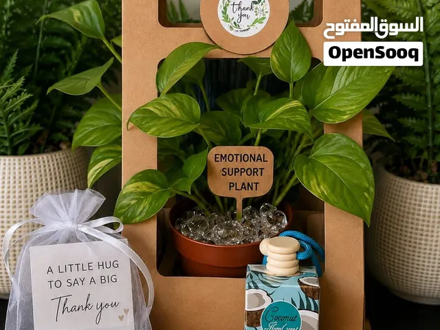plant gifting ideas