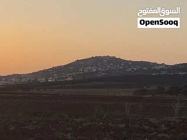ارض وسط سهل عرابة