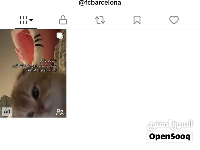 حساب تيك توك رباعي فخم .