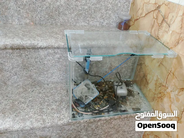 حوض سمك للبيع السعر 20 الف يجي ويا ماطور وهيتر