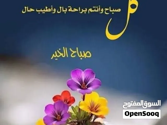 مطلوب شقه للايجار  عائله