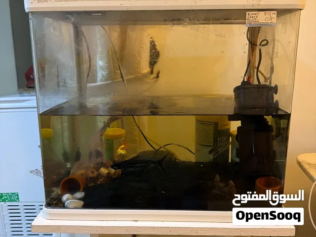 حوض سمك بجميع ملحقاته فلتر طاوله مقياس حراره الماء جهاز أكسجين تحت الماء
