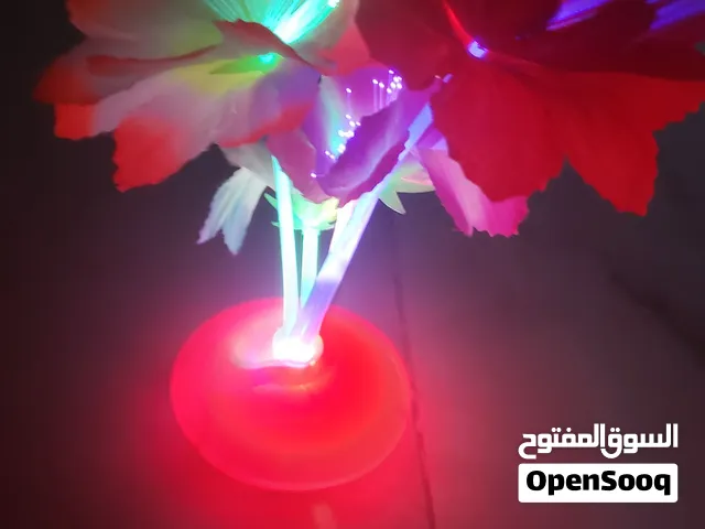 ورد ابو قاعدة مضيئ