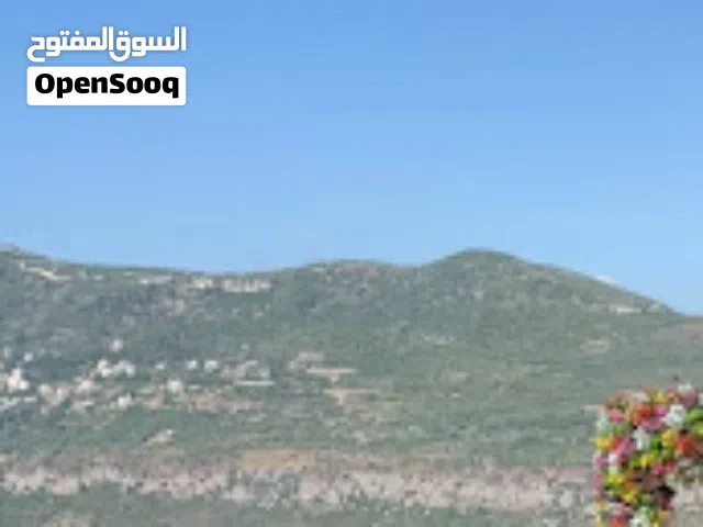 Prime Land for Sale in Al-Bennay, Aley – 9,910 m2 Investment Opportunity Scenic Views