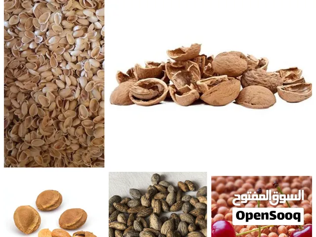 شراء جميع انواع القشر