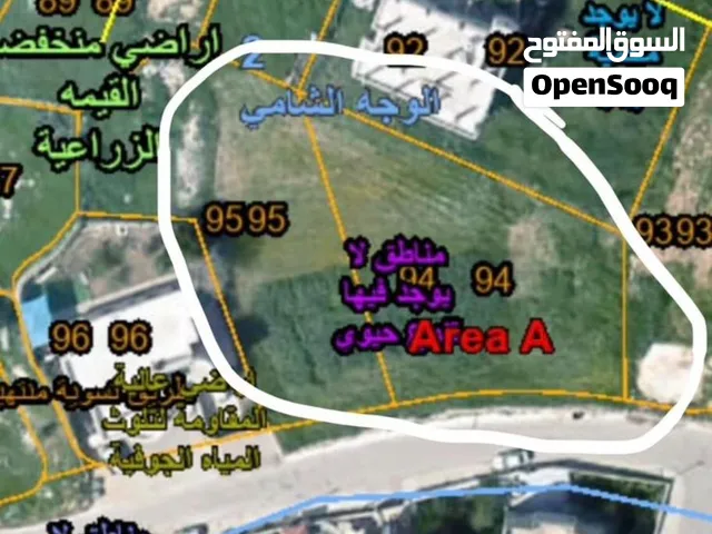 قطعة ارض 2 دونم /بيت ريما
