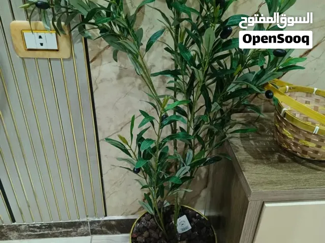شجرة الزيتون الصناعية