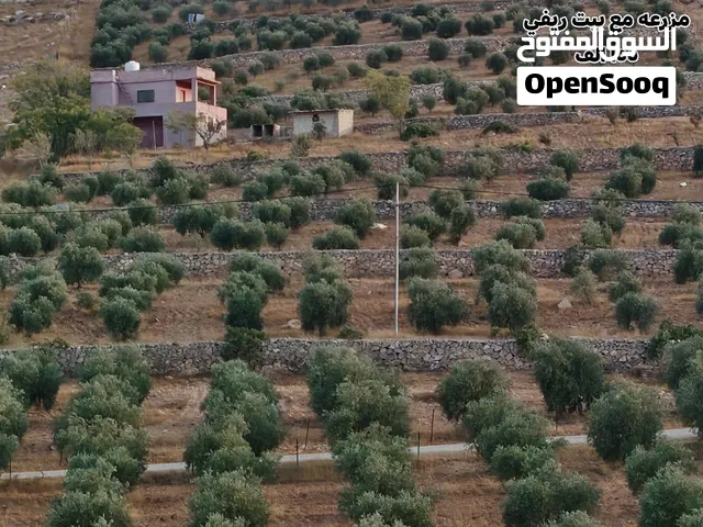 Farm Land for Sale in Jerash Dahl