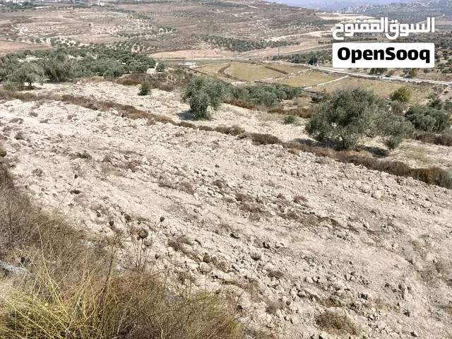 امكانيه تقسيط وقبول سياره  كدفعه اولى مساحه 2060 متر