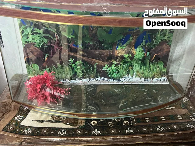 حوض سمك حجم كبير