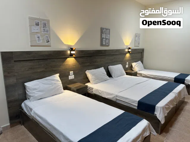 Furnished Daily in Aqaba Other