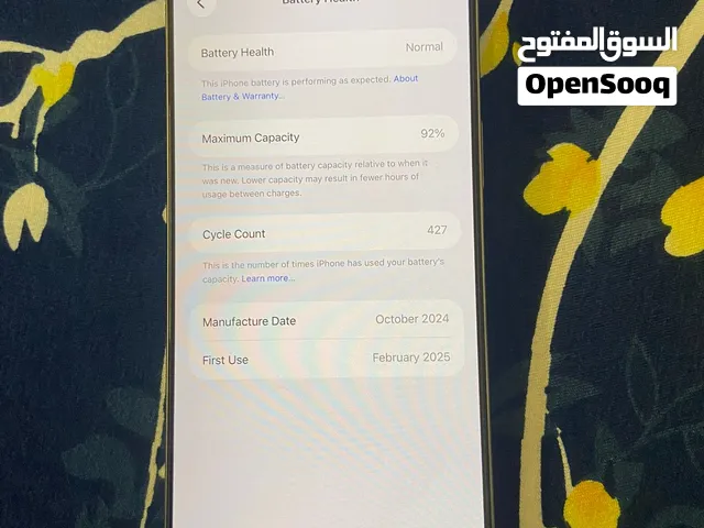 iPhone 16 pro max
