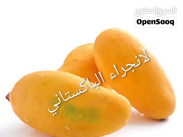 خمس اصناف فاخرة من شتلات المانجو تركيب على اصل محلي