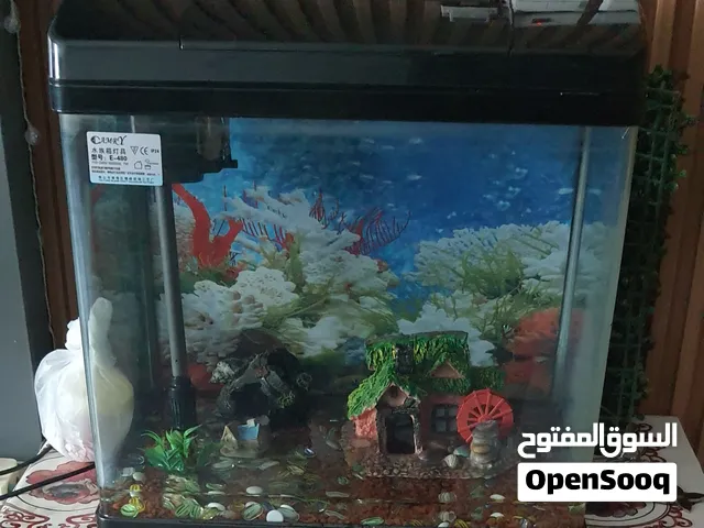 FISH AQUARIUM