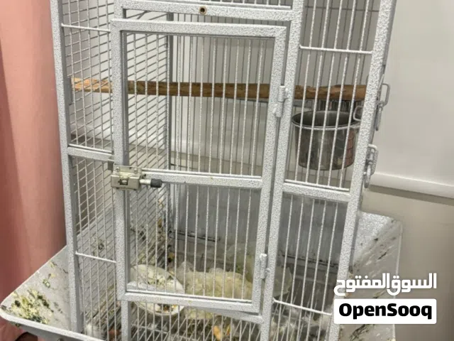للبيع قفص كبير للطيور وحيوانات أخرى