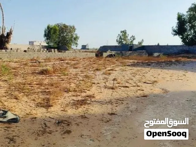 هنقر في طريق المطار 1000 متر