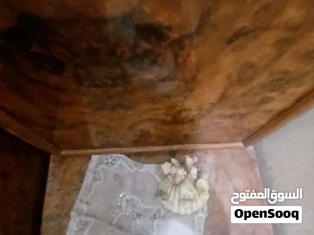 انتري استقبال